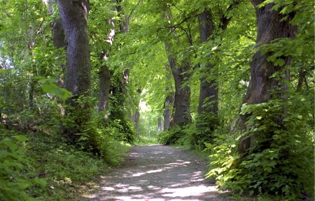 bantelner-allee_m