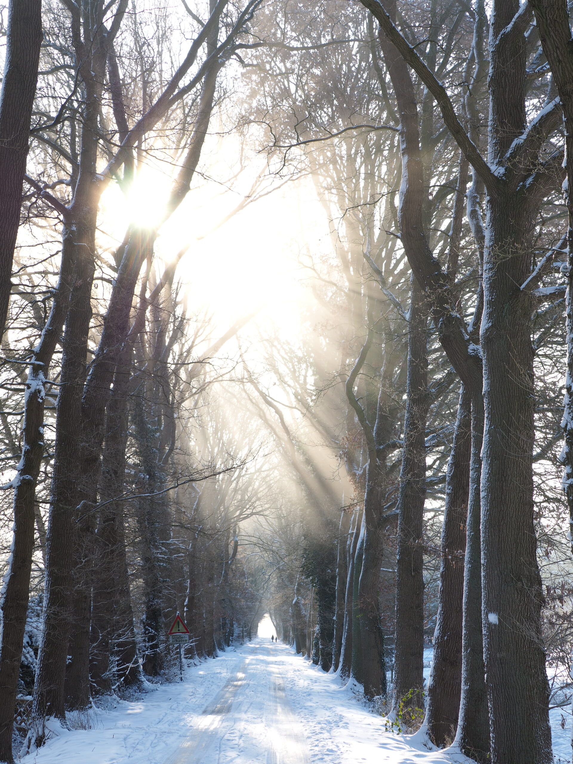 Besinnlich durch die Allee des Monats Dezember 2021