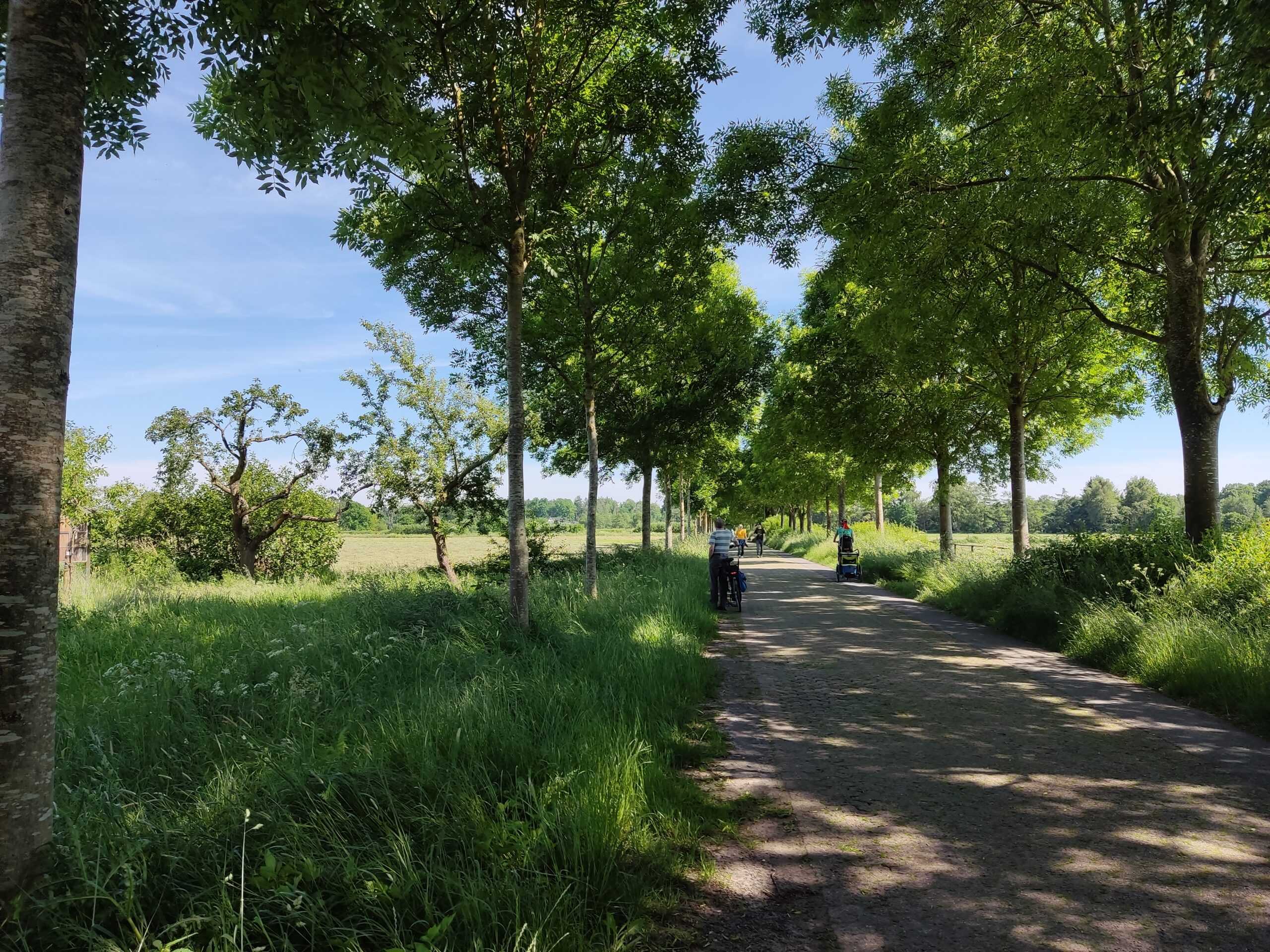 Der Marschweg in Wildeshausen lädt zum Radeln ein und wird Allee des Monats Mai 2024