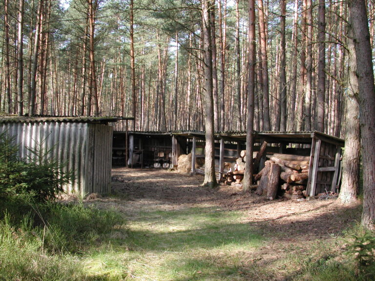 Imkereirelikte