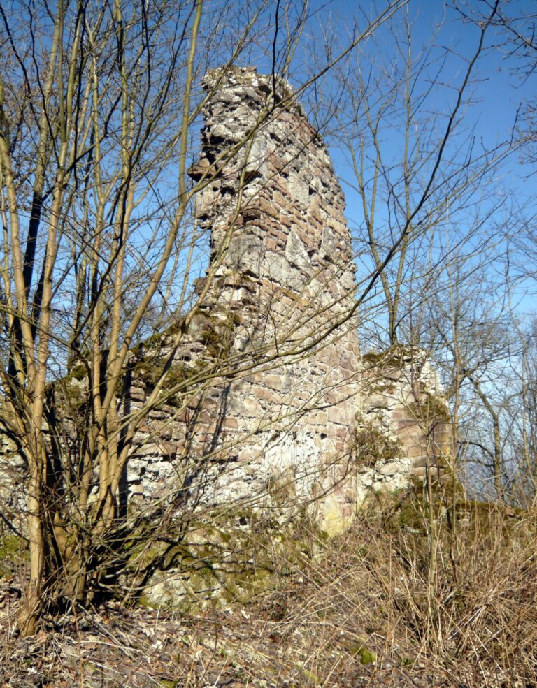 Burg