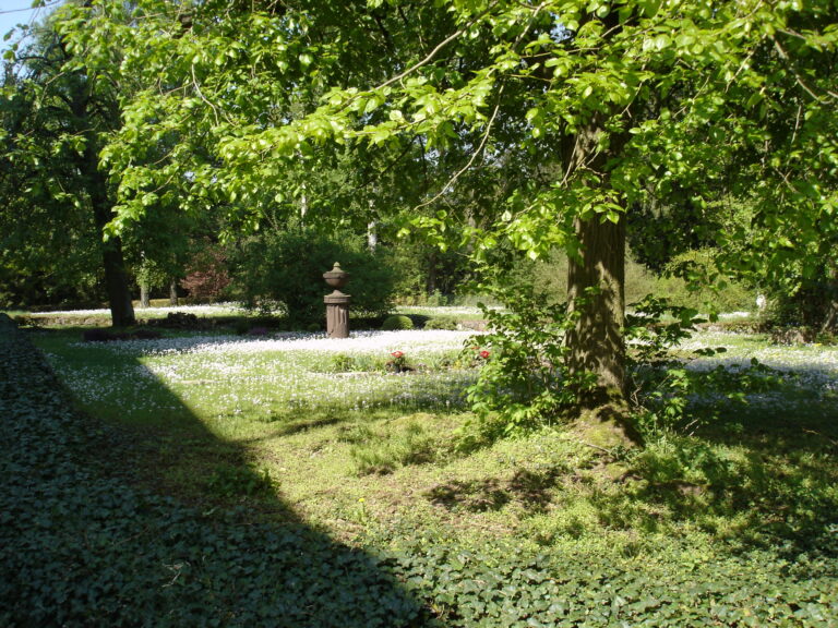 Park