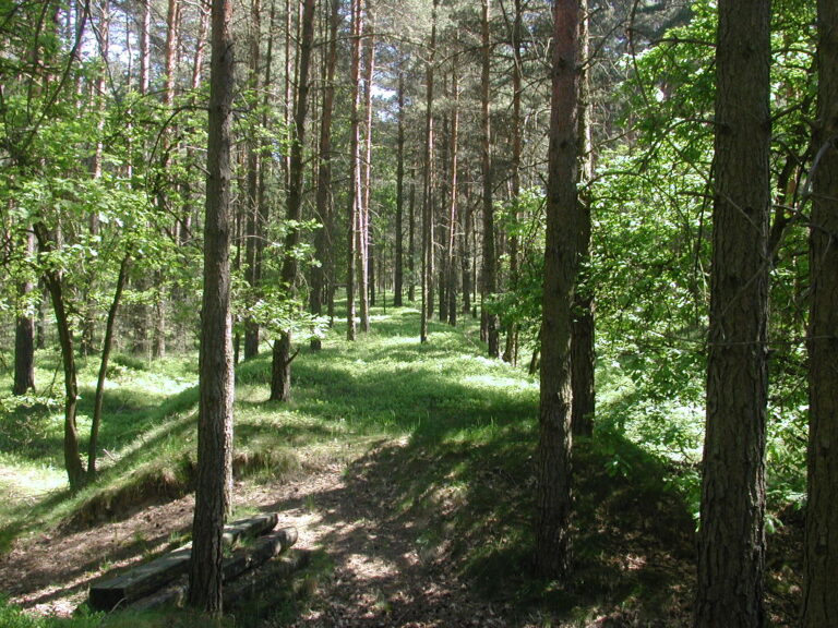 Eisenbahntrasse