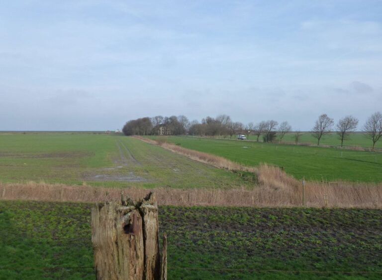 Polder