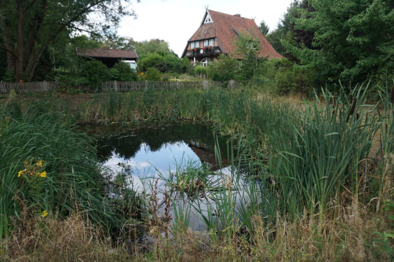 Teich