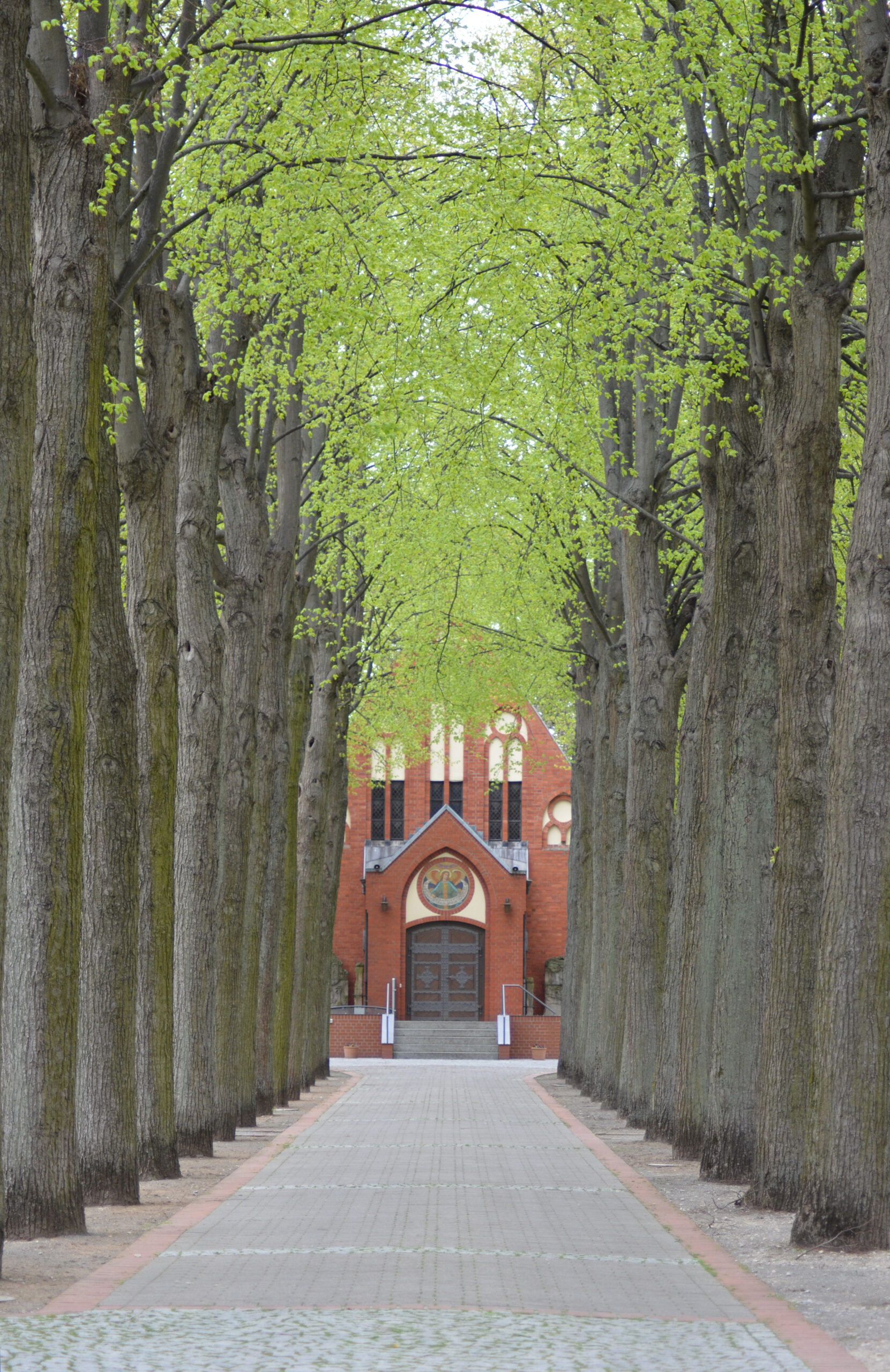 Allee des Monats Mai 2023: Allee zur Friedhofskapelle auf dem Jakobifriedhof in Peine