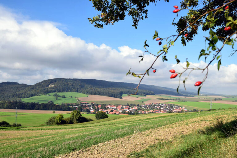 Haufendorf