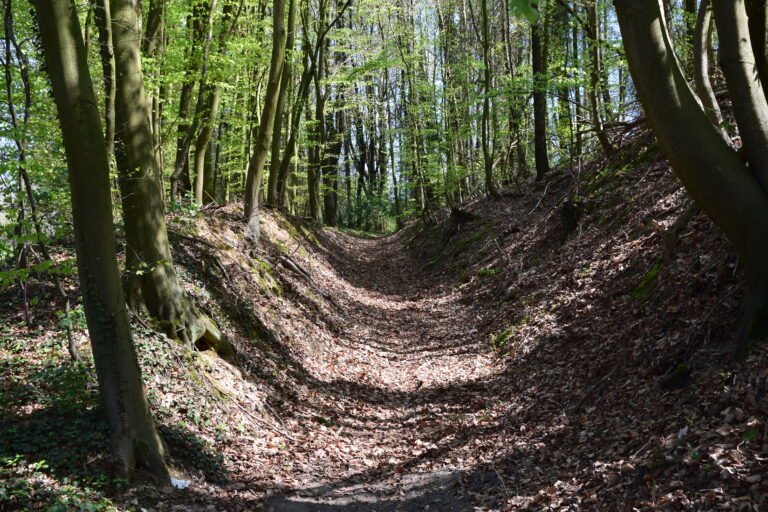 Weg