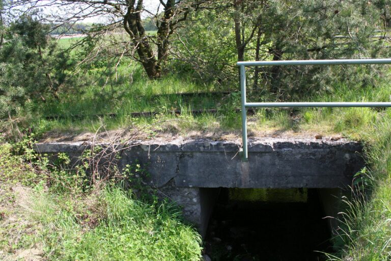 Brücke