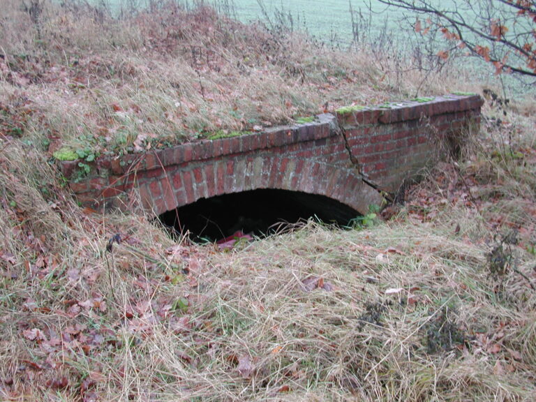 Bewässerungswiese