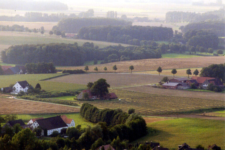 Streusiedlung