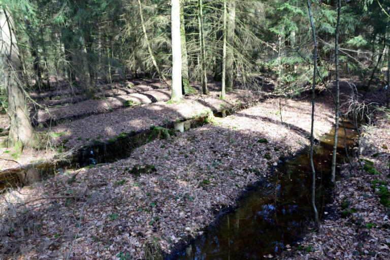 Wölbacker