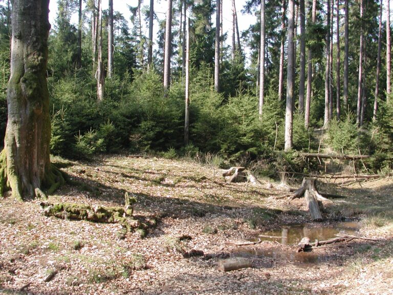 Wolfsgrube