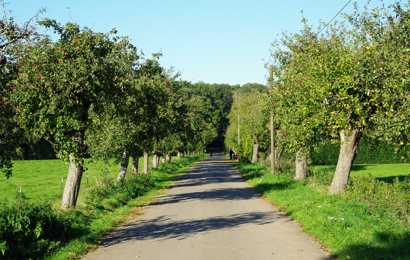 Allee des Monats September 2015