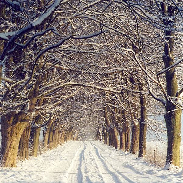 Allee des Monats März 2016