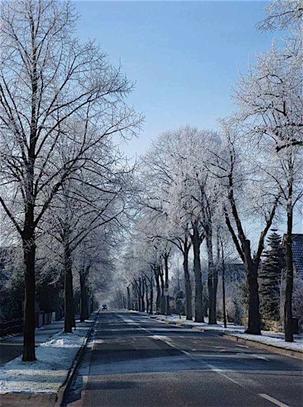 Allee des Monats Februar 2016