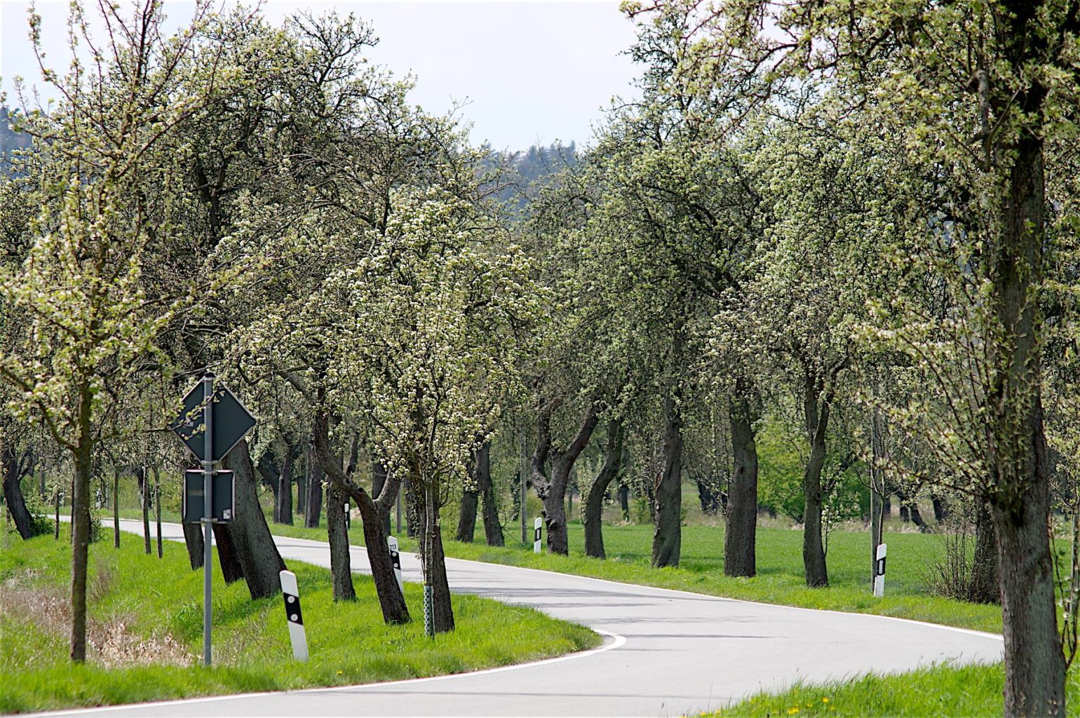 Allee des Monats April 2016