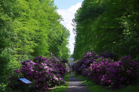 Allee des Monats Juni/Juli 2016