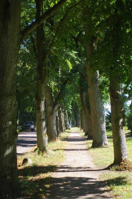 Allee des Monats August 2016