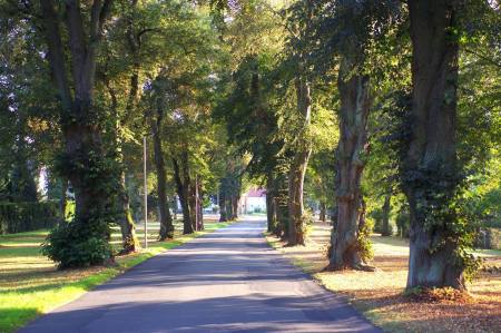 Allee des Monats September 2016