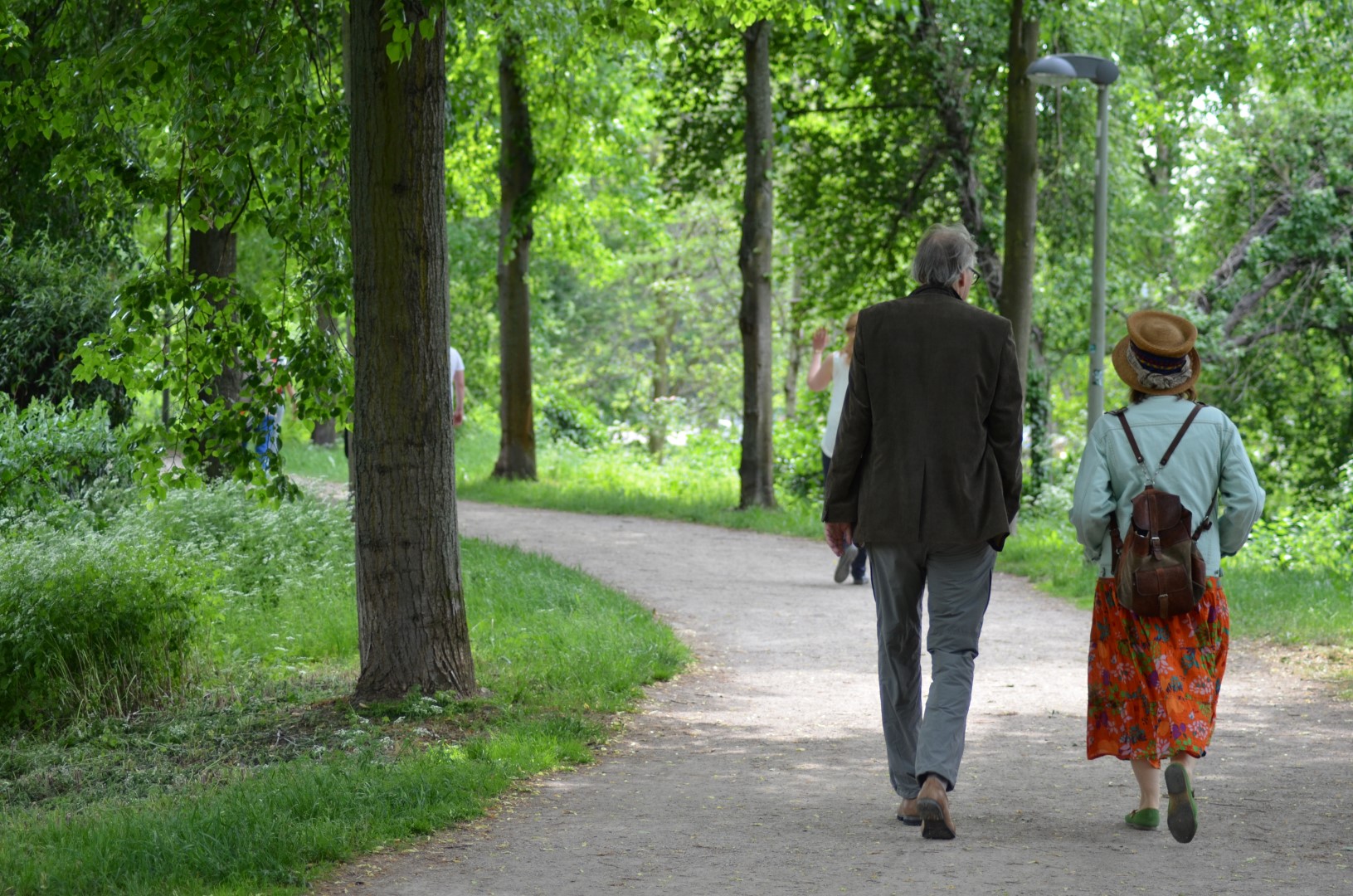 Göttinger Stadtwall zur Allee des Monats August 2018 gekürt