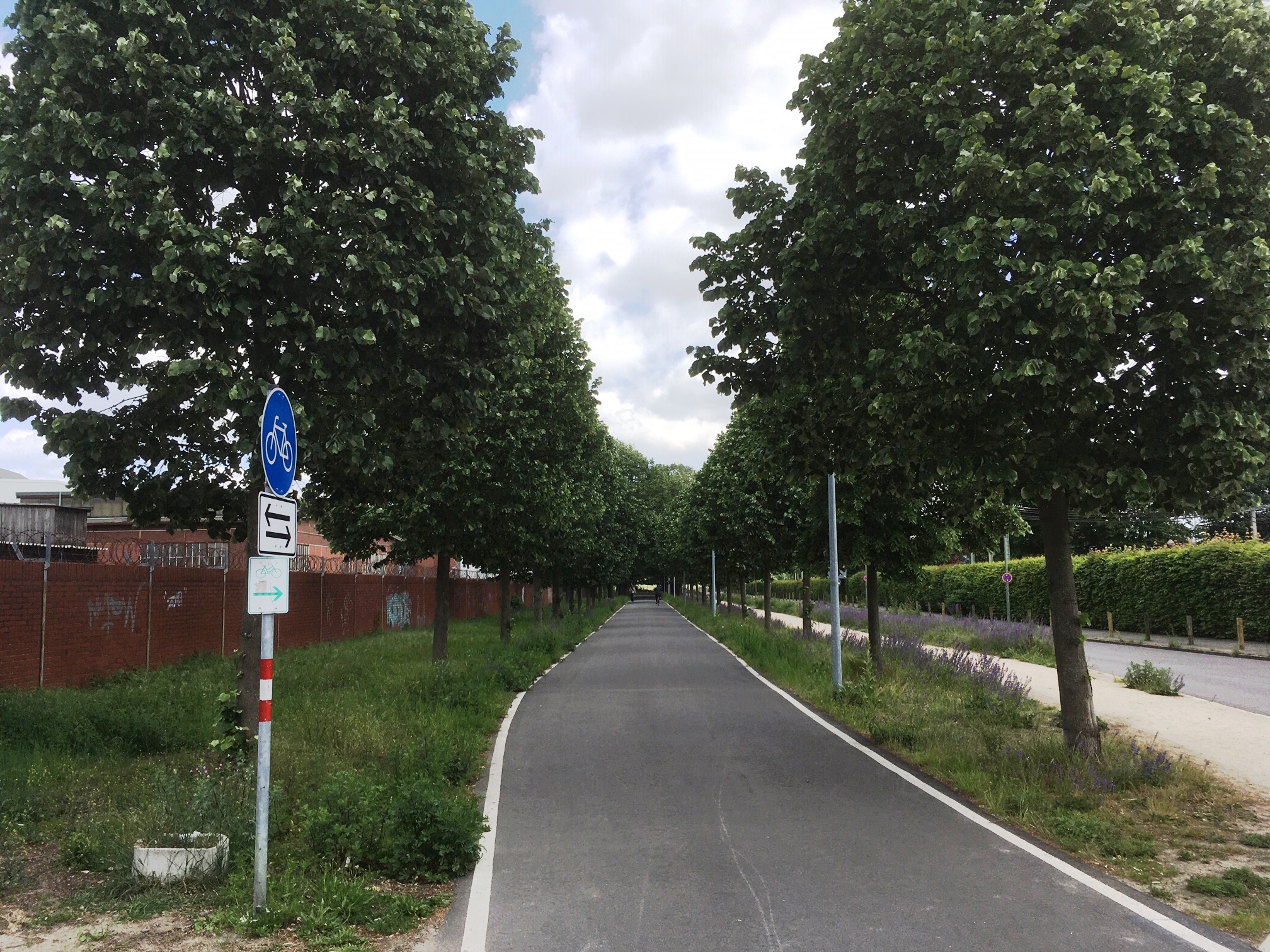 Radschnellweg in Osnabrück wird begleitet von der Allee des Monats Juni 2020