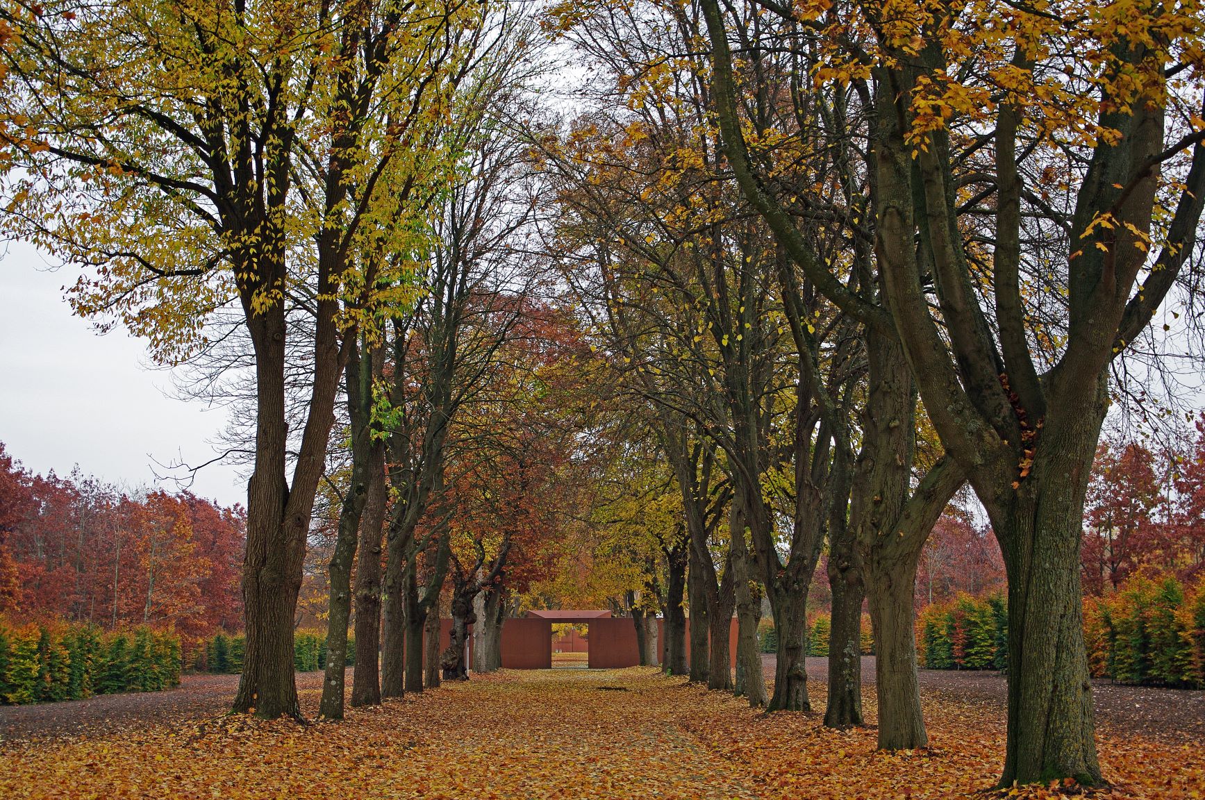 Allee in der Gedenkstätte Esterwegen ist Allee des Monats November 2019