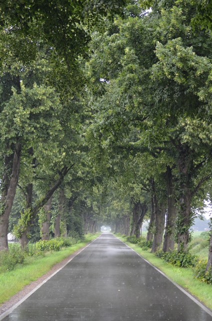 Sicher durch die Allee des Monats Oktober 2020