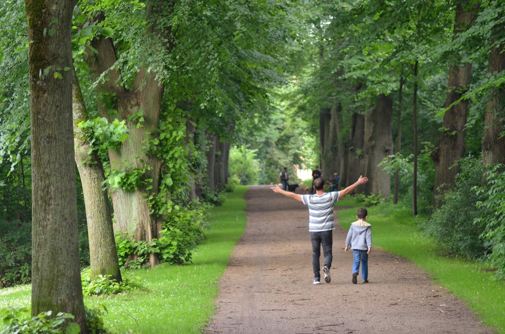 Alleen für den Klimaschutz! – Allee des Monats September 2020