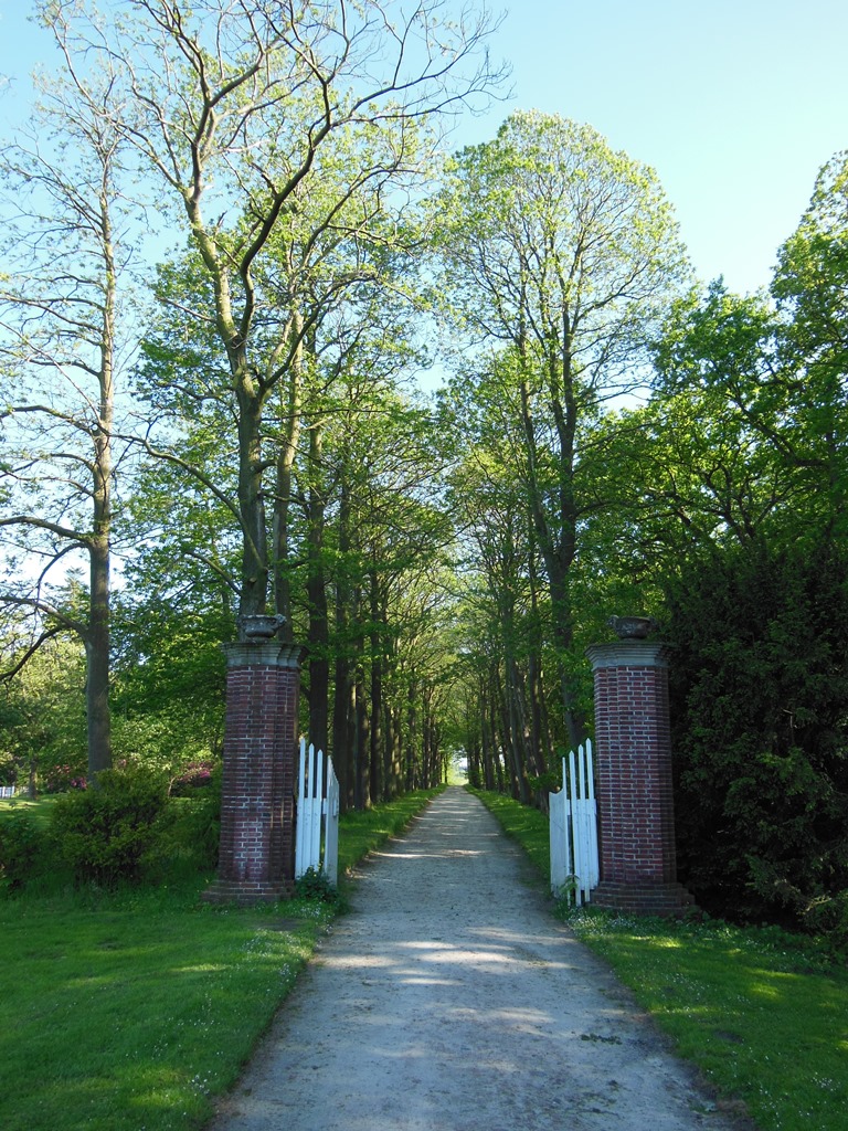 Esskastanien im Lütetsburger Schlosspark sind Allee des Monats im März 2020
