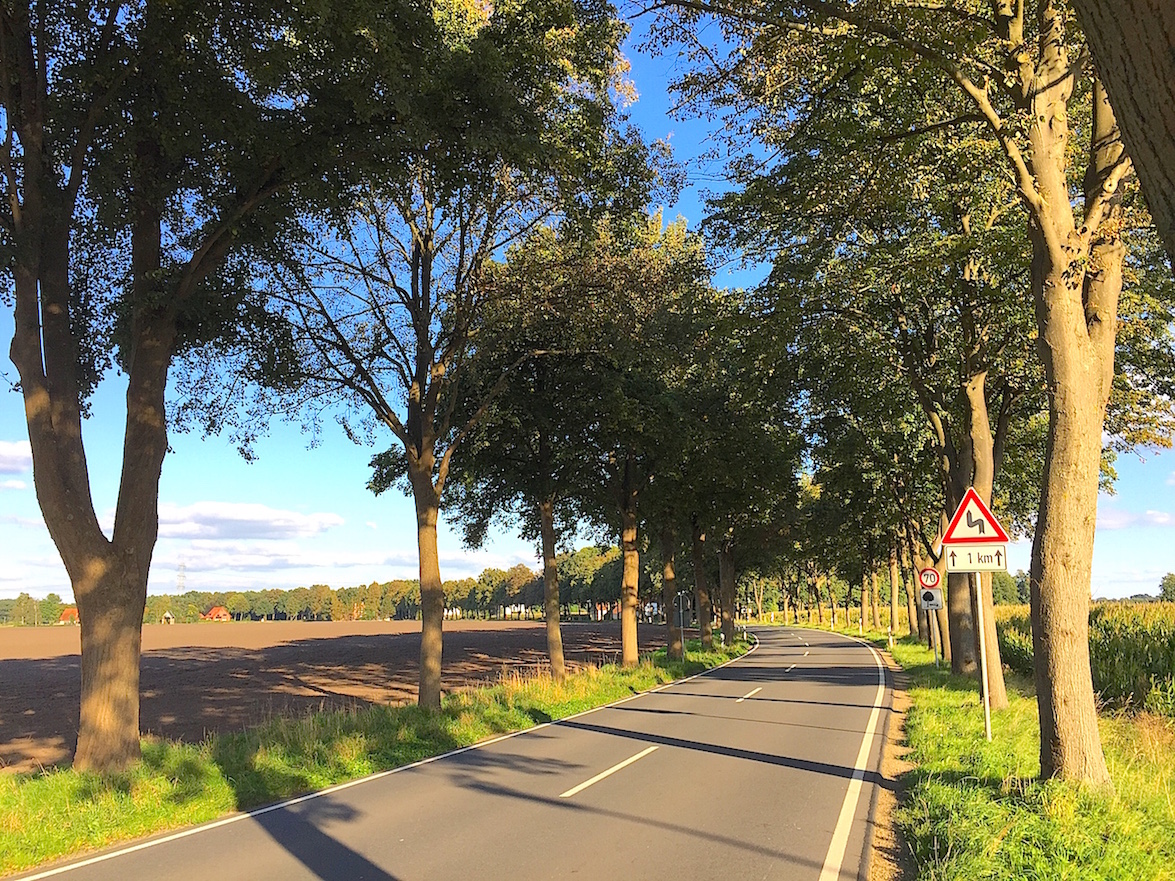 Allee des Monats August 2015