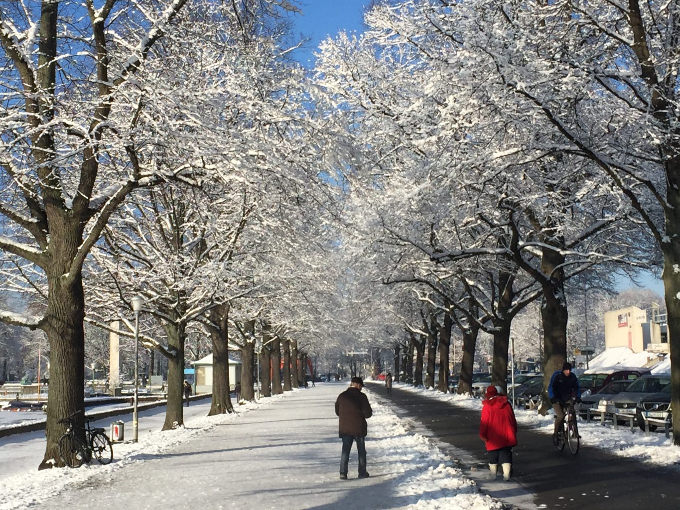 Allee des Monats Januar 2016
