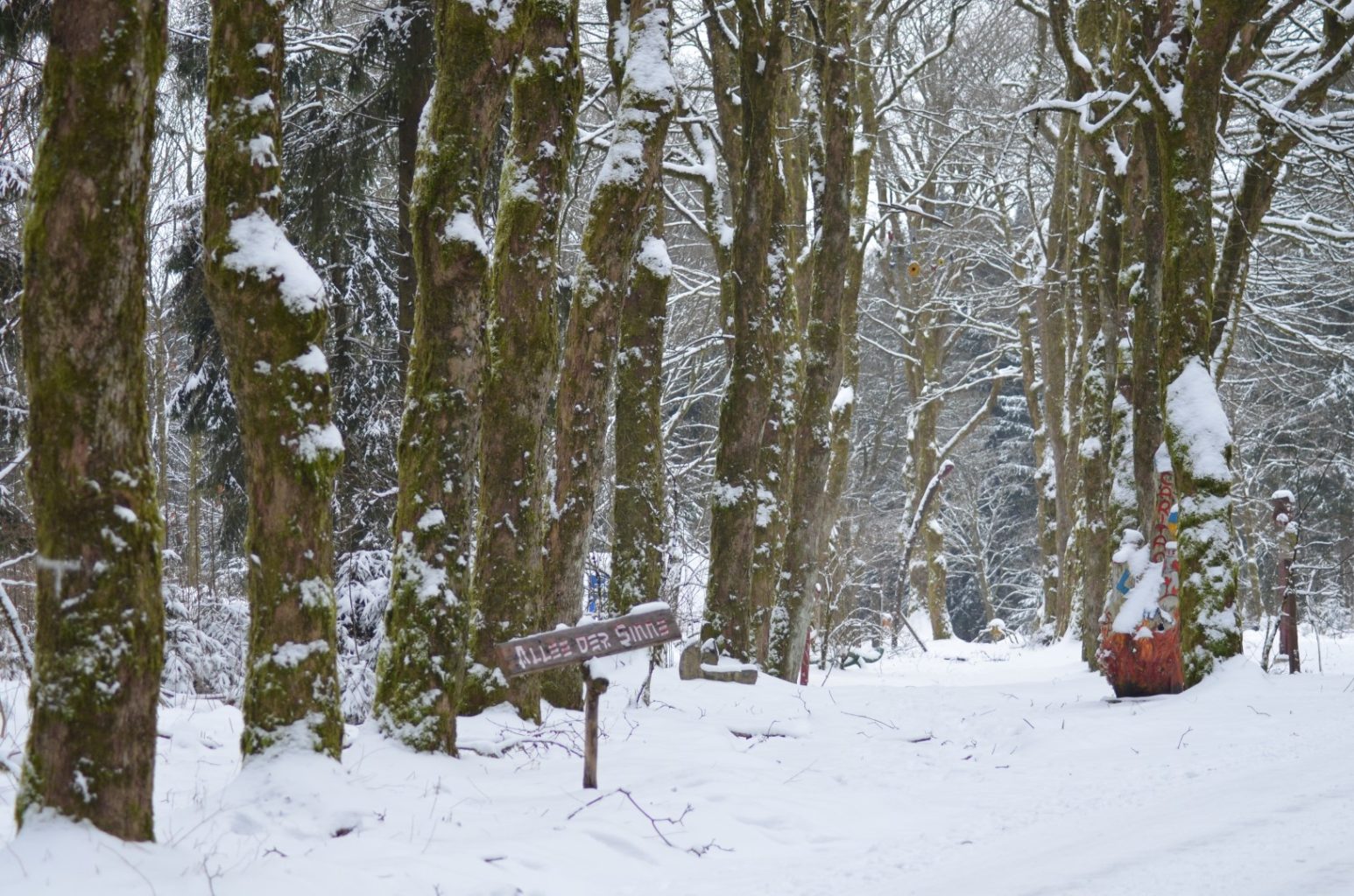 Die Allee des Monats Februar 2018 findet sich im Harz!