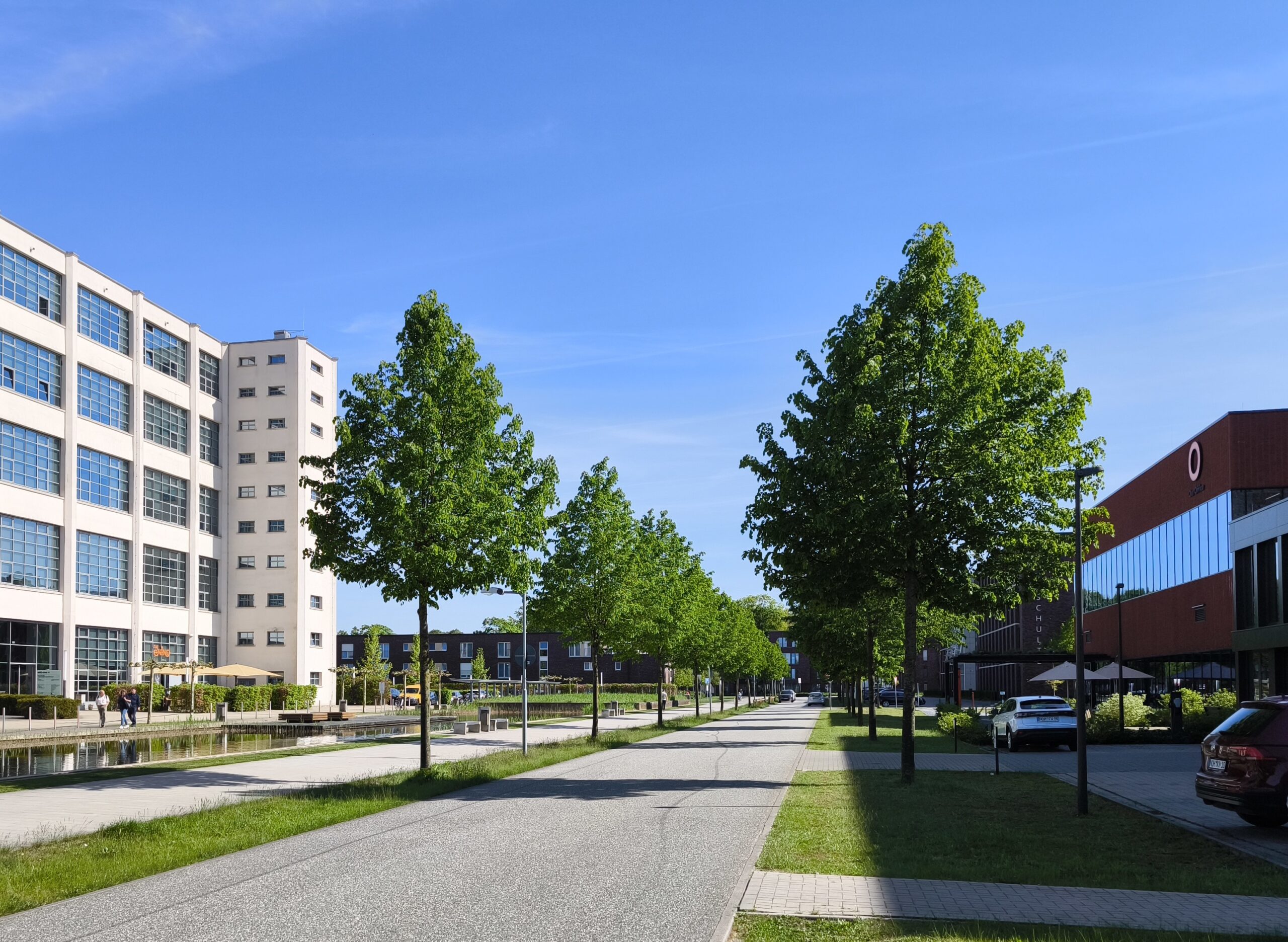 Allee des Monats Mai 2025: Die NINO-Allee in Nordhorn: Geschichte trifft Wandel