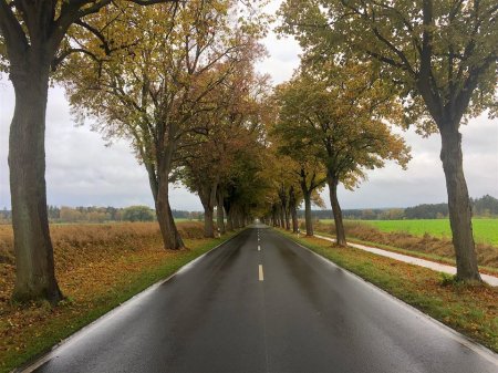 Allee des Monats Dezember 2016